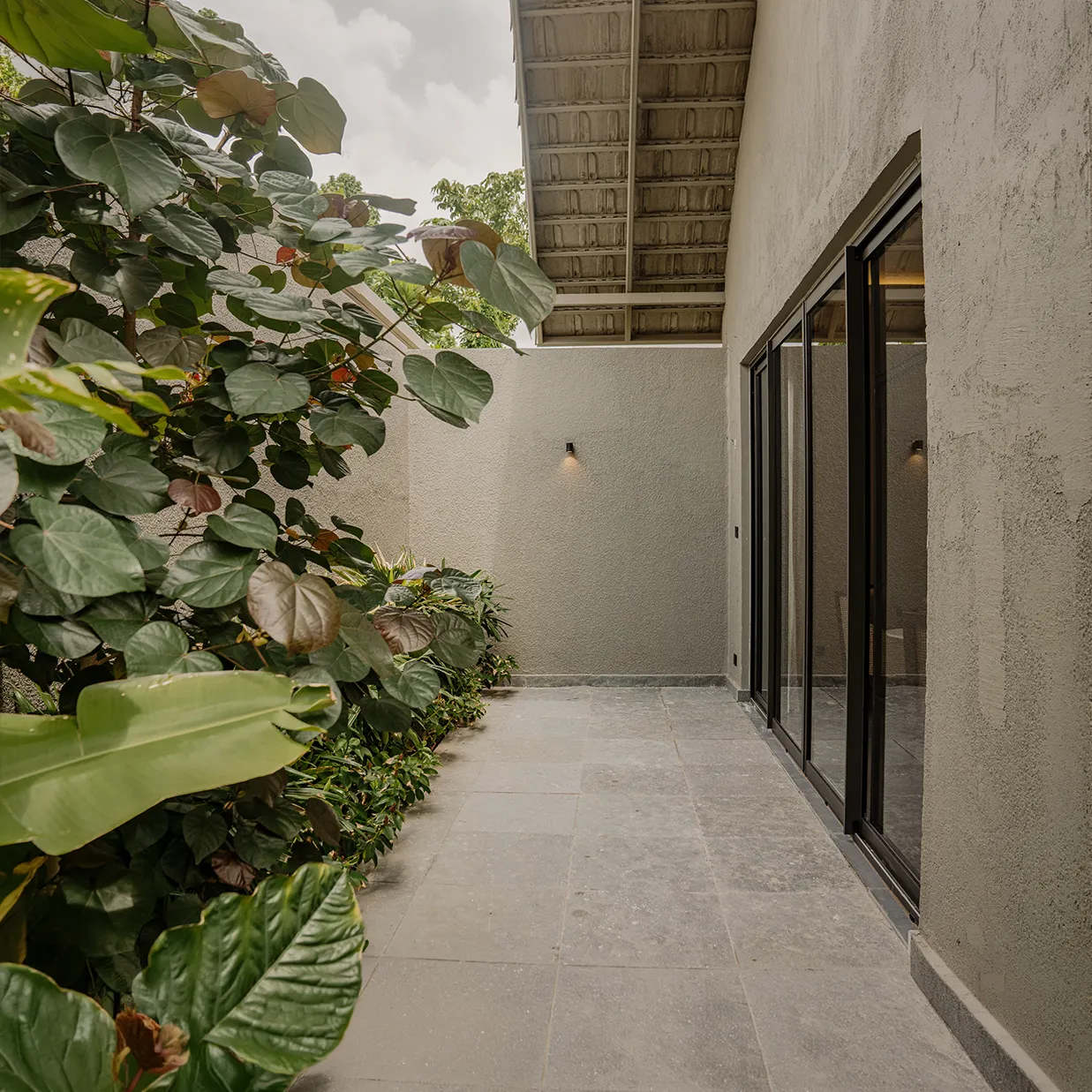 A quiet stone courtyard edged with broad-leafed plants